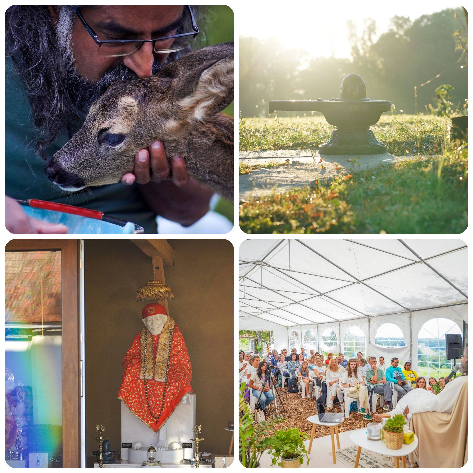 Mohanji Peace Centre Slovenia